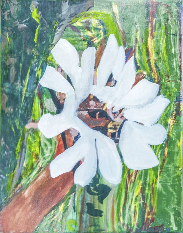 Alex Fischer, Super Seed, 2016-08-29